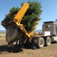 Una incredibile macchina che pianta gli alberi con grande facilità