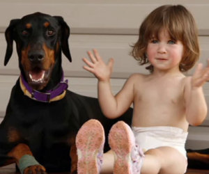 Una bambina viene salvata dal suo dobermann da un serpente