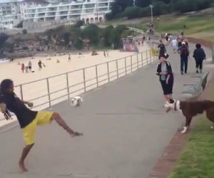 Questo cane gioca a calcio ed è più bravo di alcuni calciatori!