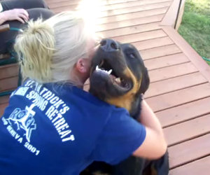 La padrona inizia a coccolarlo, ecco come reagisce il cane