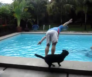 Il cane dispettoso che butta in acqua la gente a bordo piscina