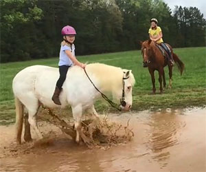 Il cavallo della bambina decide di giocare nel fango