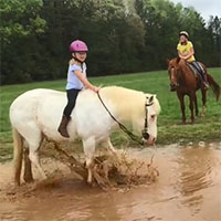 Il cavallo della bambina decide di giocare nel fango