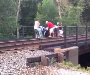 Salvano la vita ad un cavallo incastrato nelle rotaie di un treno