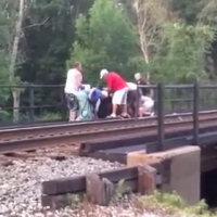 Salvano la vita ad un cavallo incastrato nelle rotaie di un treno