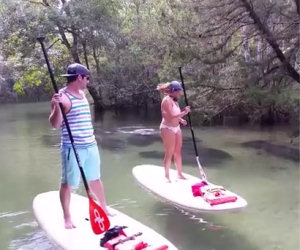 Stanno facendo surf sul fiume, a un tratto succede una cosa magnifica