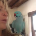 Una divertente conversazione tra il pappagallo e la sua padrona