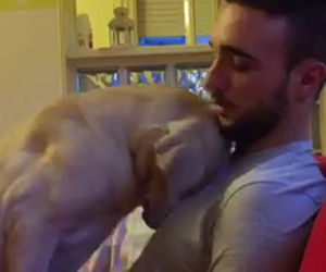 Il modo in cui questo cane chiede scusa riscalda il cuore