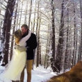Due sposi fanno girare il video del loro matrimonio al proprio cane