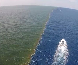 Il fiume ed il mare si incontrano, lo spettacolo è incredibile