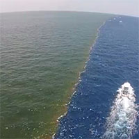 Il fiume ed il mare si incontrano, lo spettacolo è incredibile