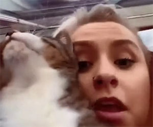 Gatto rovina il TikTok di questa ragazza