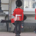 Cade durante il cambio delle guardie a Buckingham Palace