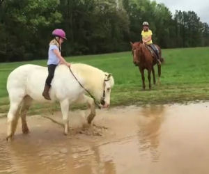 Il pony decide di giocare nel fango mentre una bambina lo cavalca