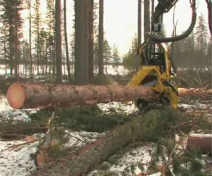 La macchina per tagliare gli alberi