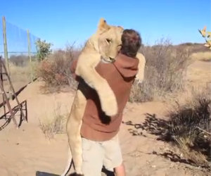 Leone abbraccia il suo padrone
