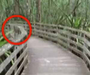 Una donna sta passeggiando, ad un tratto fa un incontro terrificante