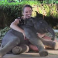 Un elefante di due settimane si siede vicino a lei e inizia a giocare