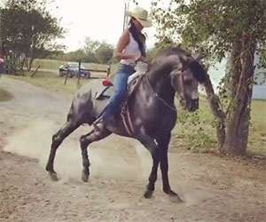 Una ragazza ed il suo cavallo si scatenano in una danza folkloristica