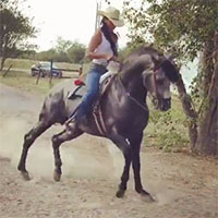 Una ragazza ed il suo cavallo si scatenano in una danza folkloristica