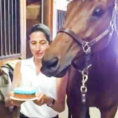 Si festeggia il compleanno del cavallo. Ecco la sua reazione!