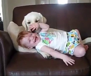 Il cane coccola questa bambina come se fosse la sua cucciola