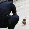 Un poliziotto di pattuglia fa un incontro che gli cambierà la giornata