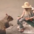 Questa fantastica marionetta a Central Park ti farà ritornare bambino