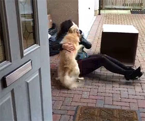 Fa una sorpresa al proprio cane: la sua gioia è incontenibile
