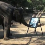 Elefante pittore fa un autoritratto