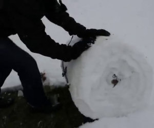 Sapevi che è possibile arrotolare la neve in questo modo?