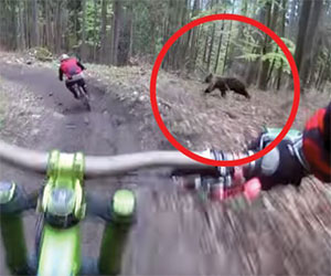 Due ciclisti si avventurano nel bosco e fanno un incontro inquietante