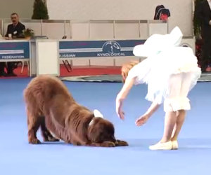 Inizia a ballare ma il suo cane gigantesco sarà il vero protagonista!
