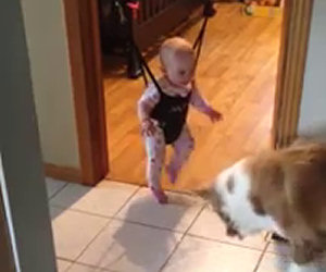 Cane insegna alla bimba a saltare