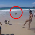 Il cane gioca in spiaggia e palleggia insieme ai suoi amici