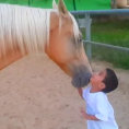 Un cavallo si avvicina ad un bambino speciale. Un video emozionante!