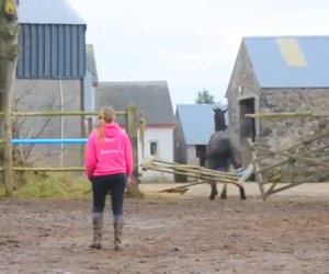 Cavallo realizza la sua grande fuga