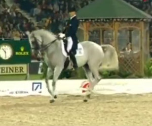 Un cavallo stupendo scende in pista e lascia tutti a bocca aperta