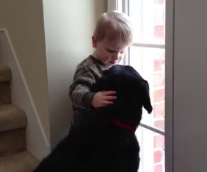 Al cane manca la sua famiglia, il bambino lo conforta in questo modo