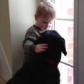 Al cane manca la sua famiglia, il bambino lo conforta in questo modo