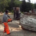 Da un semplice enorme tronco crea un'opera d'arte stupenda