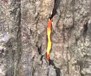 Fulmine cade su un albero e causa uno strano e affascinante fenomeno