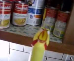 Gallina affamata scopre chicken noodles
