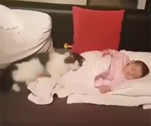 Allontanano il gatto dalla bambina ma lui non ne vuole sapere