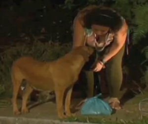 Seguono un cane nella discarica, ciò che sta facendo è incredibile