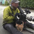 Il gattino si avvicina al fotografo, ciò che avviene dopo non ha prezzo