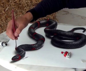 Inizia con semplici linee, alla fine il suo disegno 3D vi lascerà senza parole