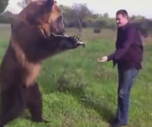 L'orso più affettuoso che ci sia