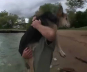 Al cane resta poco da vivere, ecco cosa fa il padrone per lui ogni giorno