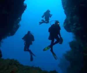 Vanno in vacanza alle Fiji, ecco cosa riprendono sotto il pelo dell'acqua